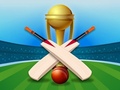 խաղ Cricket Champions Cup