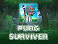 խաղ PUBG Surviver