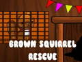 խաղ Brown Squirrel Rescue