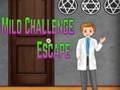 խաղ Amgel Mild Challenge Escape