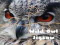 խաղ Wild owl Jigsaw