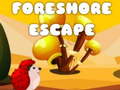 խաղ Foreshore Escape