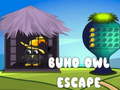 խաղ Buho Owl Escape