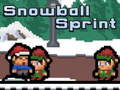 խաղ Snowball Sprint