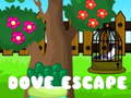 խաղ Dove Escape