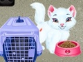 խաղ Baby Taylor Pet Care