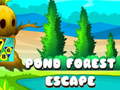 խաղ Pond Forest Escape