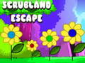 խաղ Scrubland Escape