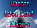 խաղ Winter Igloo Land Escape 