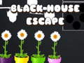 խաղ Black House Escape