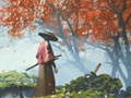 խաղ Samurai Reflexion