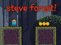 խաղ Steve Forest