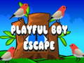 խաղ Playful Boy Escape