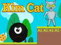 խաղ Kim Cat