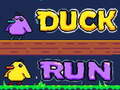 խաղ Duck Run