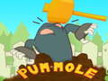 խաղ Pum-Mole