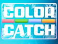 խաղ Color Catch