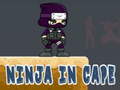 խաղ Ninja in Cape