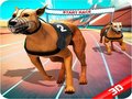 խաղ Crazy Dog Race