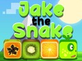 խաղ Jake The Snake