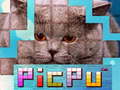 խաղ PicPu Cat 