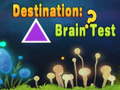 խաղ Destination: Brain Test