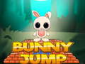 խաղ Bunny Jump