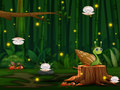 խաղ Snail Run