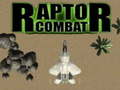 խաղ Raptor Combat