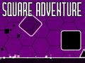 խաղ Square Adventure