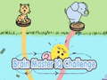 խաղ Brain Master IQ Challenge