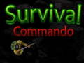 խաղ Survival Commando