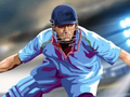 խաղ Cricket 2022