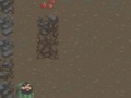 խաղ The Survival