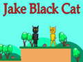 խաղ Jake Black Cat