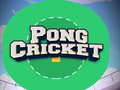 խաղ Pong Cricket