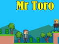 խաղ Mr Toro