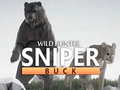 խաղ Wild Hunter sniper buck