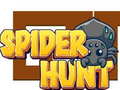 խաղ Spider Hunt