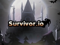 խաղ Survivor.io