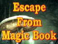 խաղ Escape From Magic Book