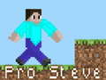 խաղ Pro Steve