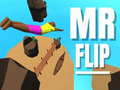 խաղ Mr Flip