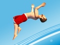խաղ Flip Divers