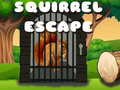 խաղ Squirrel Escape