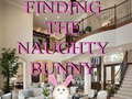 խաղ Finding The Naughty Bunny