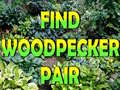խաղ Find Woodpecker Pair 