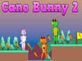 խաղ Cano Bunny 2