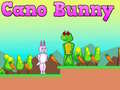 խաղ Cano Bunny