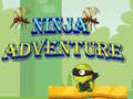 խաղ Ninja Adventure